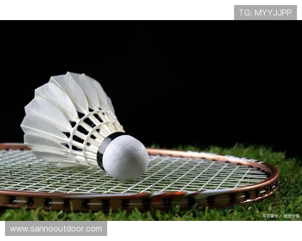 王静独家揭秘羽毛球技巧与心得分享助你提升竞技水平 王静独家揭秘羽毛球技巧与心得分享助你提升竞技水平